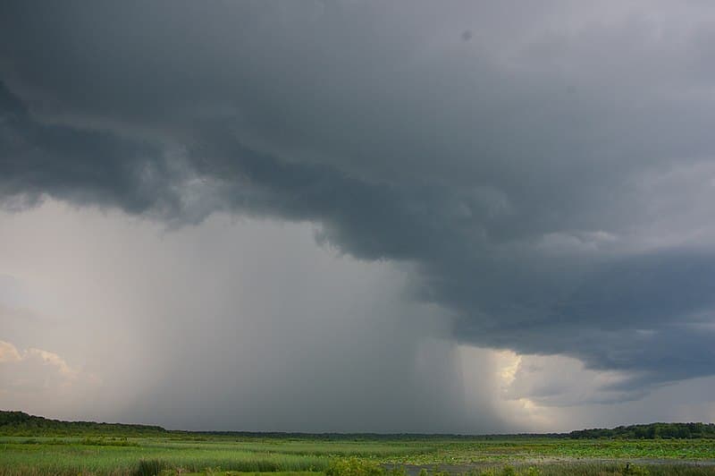 Steering Through the Storm: Navigating the Down Market in Trucking as a Carrier